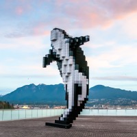 Digital Orca of Vancouver